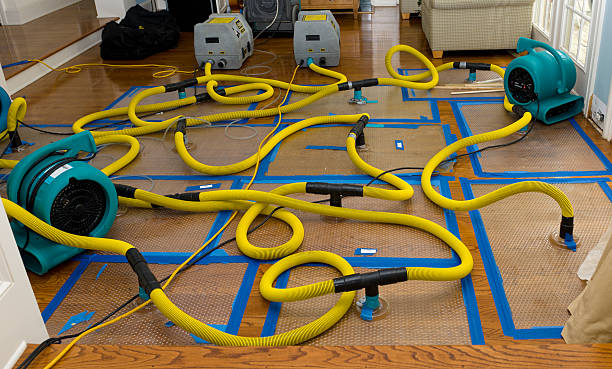 Professional Basement Flood Cleanup technician working in Montrose, CO